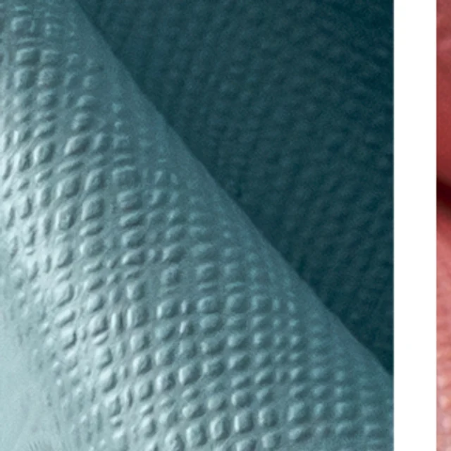 Textura do revestimento Bim BM.01